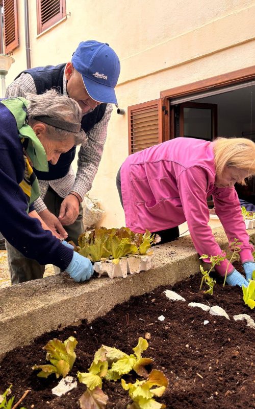 attività casa di riposo le sorgenti